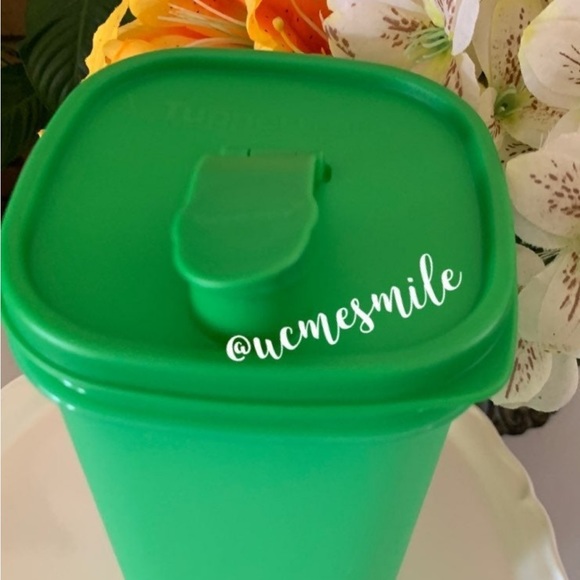 Tupperware Fridge Water Bottle 2L Green with matching Top/Spout - Picture 2 of 4